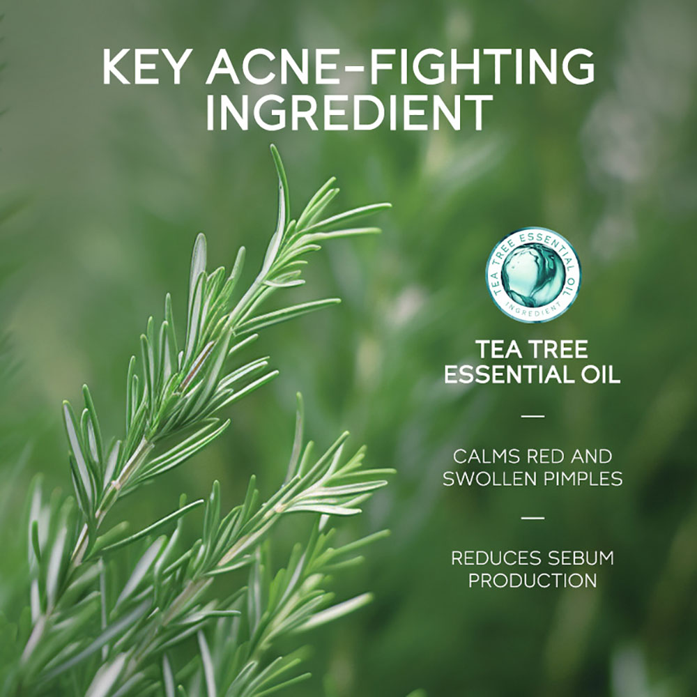 LAIKOU Tea Tree Acne Gel 15g,  - огляд і ціна Tea Tree Spot Treatment