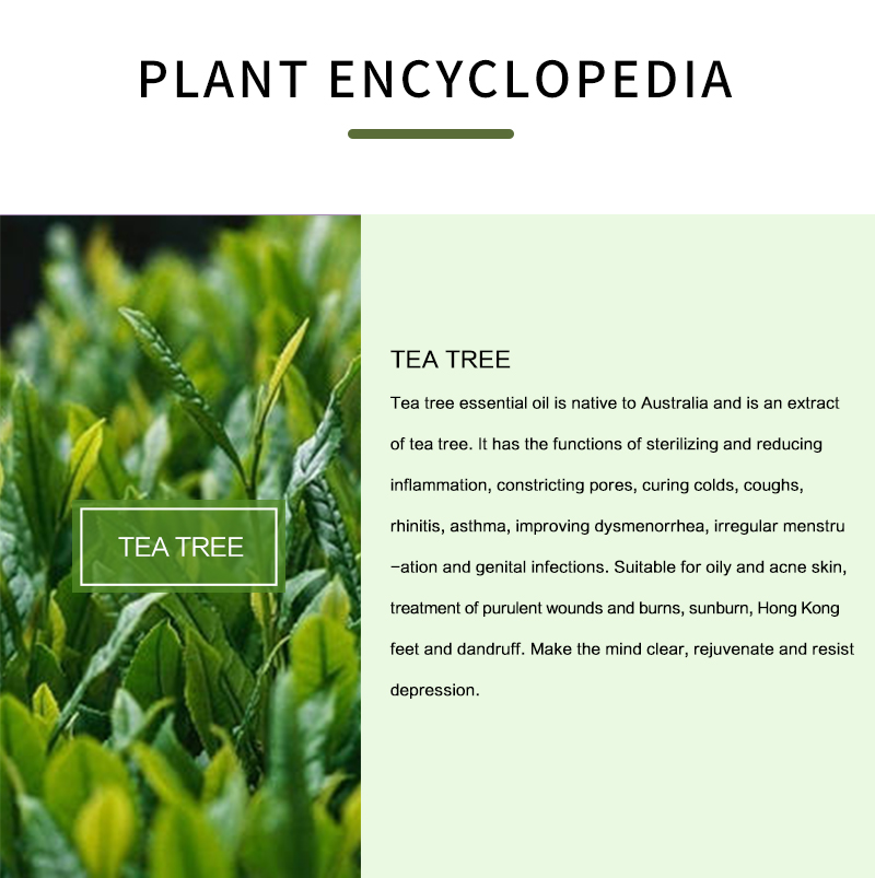 100% Pure Tea Tree Essential O - огляд і ціна Tea Tree Spot Treatment